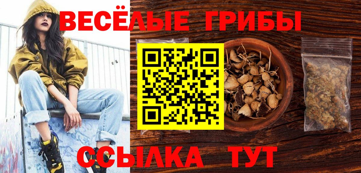 Псилоцибиновые грибы Psilocybine cubensis  Вход с VPN  Конаково 